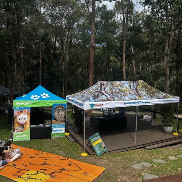 Plan your visit to the next Eco Market at Redlands IndigiScapes Redlands Coast Brisbane