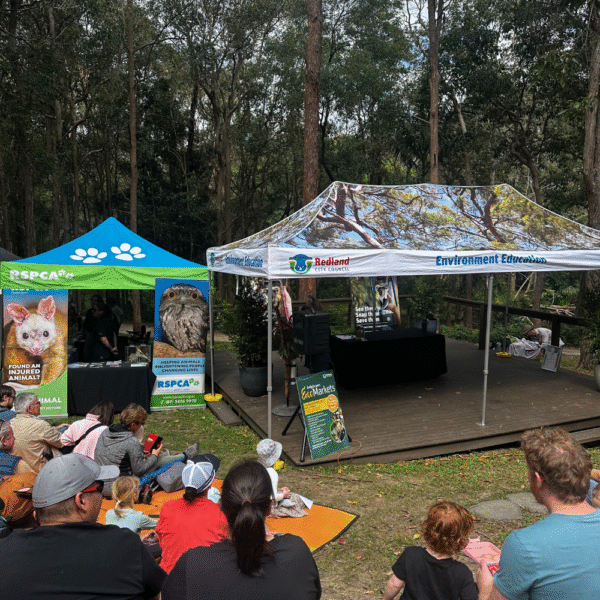 Tents and visitors waiting for the Koala talk with Ranger Stacy at IndigiScapes