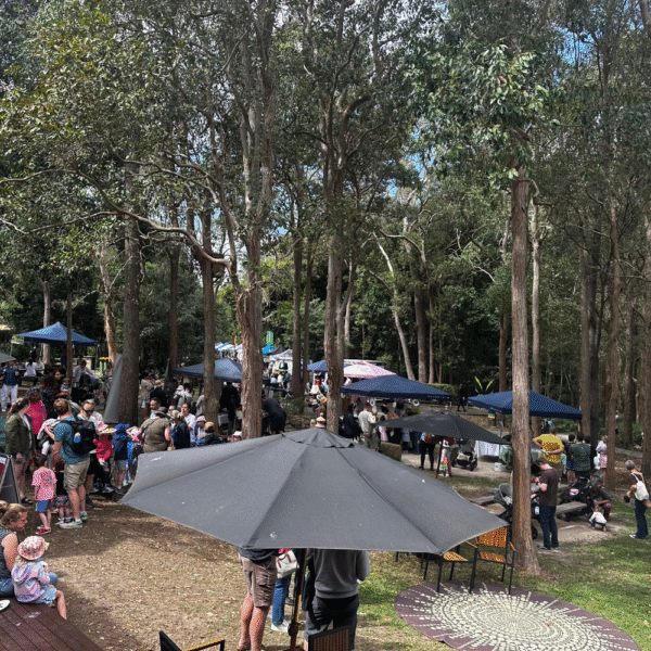 Families walking through Indigiscapes Redlands Coast bushland Brisbane Australia